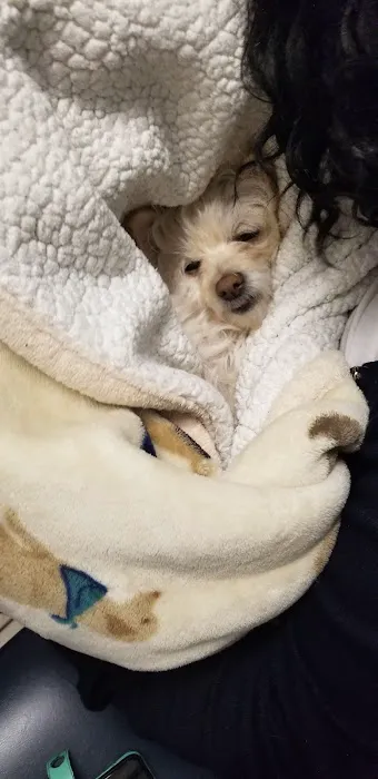Broadway Pet Hospital Picture 7