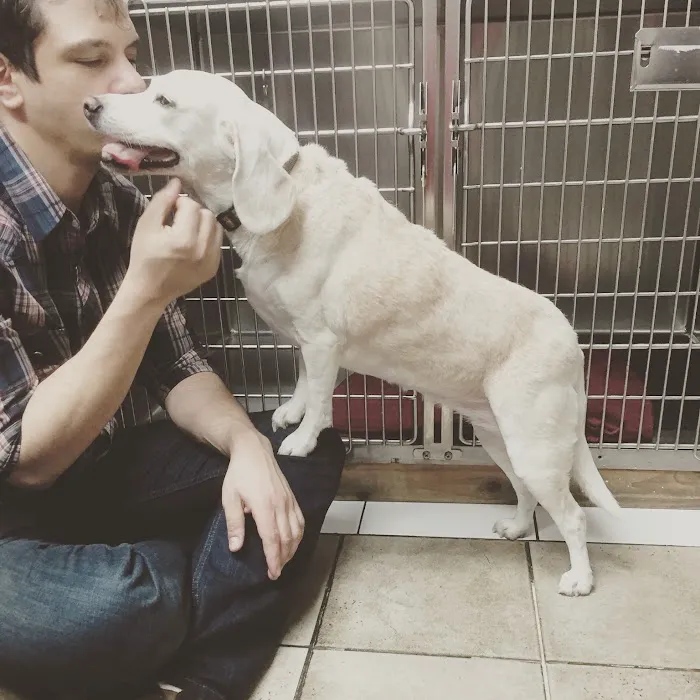 Broadway Pet Hospital Picture 9