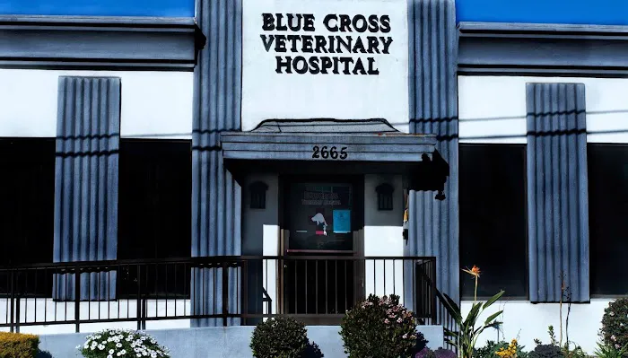 Blue Cross Veterinary Hospital Picture 3