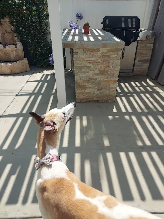 Blue Cross Veterinary Hospital Picture 4