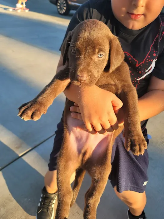 Blue Cross Veterinary Hospital Picture 10
