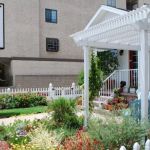 Cats & Dogs Animal Hospital