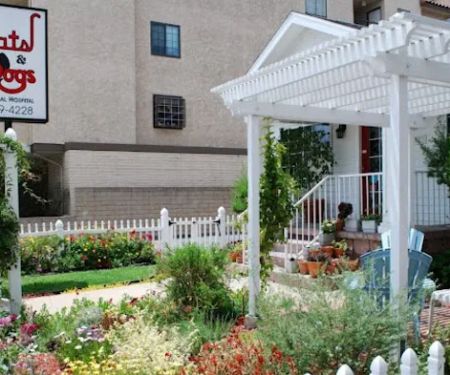 Cats & Dogs Animal Hospital