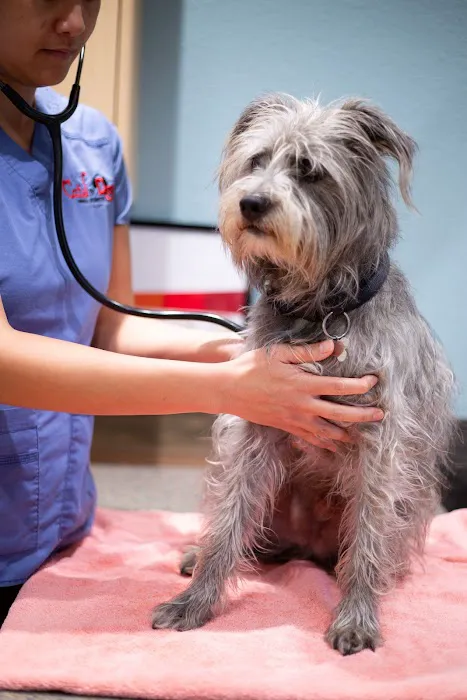 Cats & Dogs Animal Hospital Picture 6