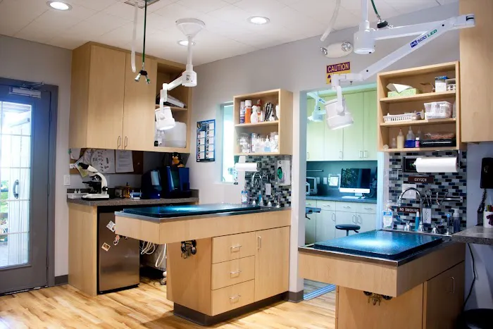 Cats & Dogs Animal Hospital Picture 7