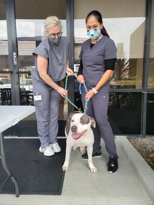 Cats & Dogs Animal Hospital Picture 9
