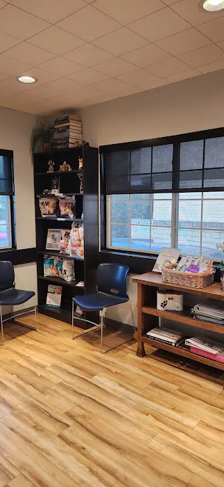Cats & Dogs Animal Hospital Picture 10