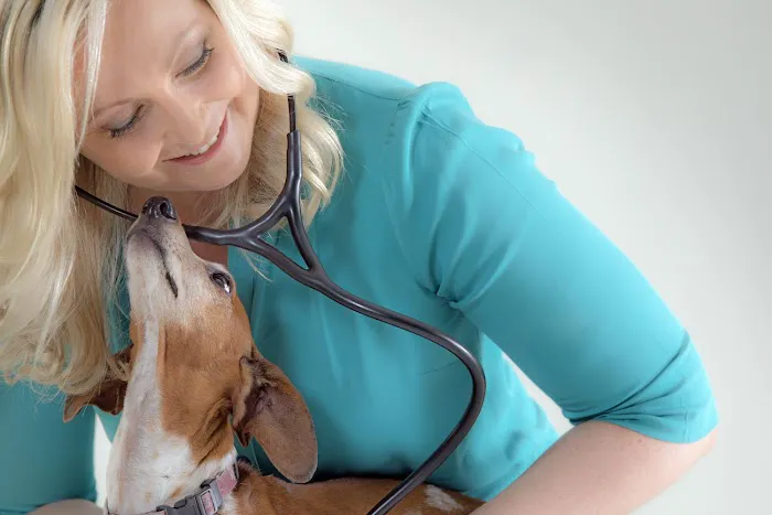 Bayou City Mobile Veterinary Specialists Picture 5