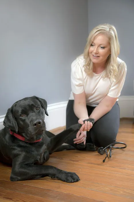 Bayou City Mobile Veterinary Specialists Picture 8