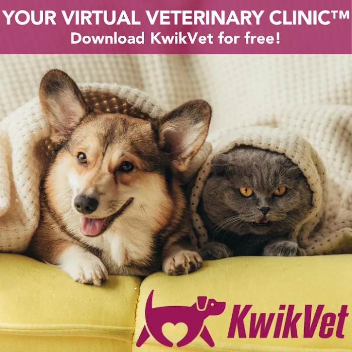 KwikVet - 24 hour veterinarians Picture 8