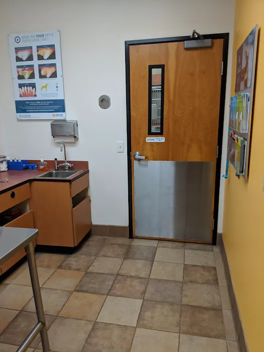 Banfield Pet Hospital Picture 6