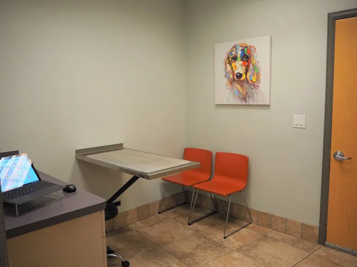 Washington Heights Veterinary Clinic Picture 4