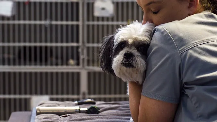Washington Heights Veterinary Clinic Picture 8