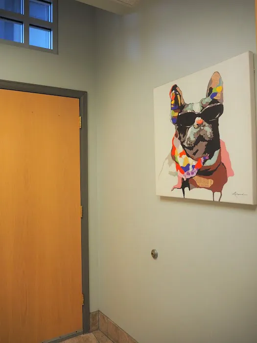 Washington Heights Veterinary Clinic Picture 9