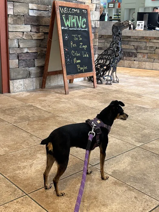 Washington Heights Veterinary Clinic Picture 10