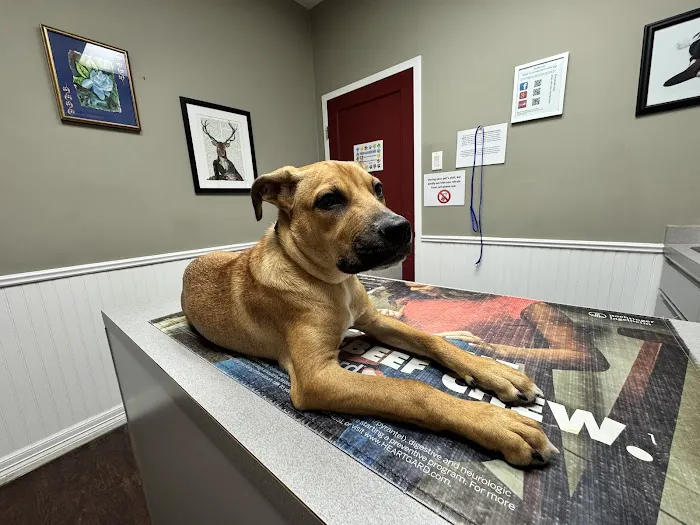 Montrose Veterinary Clinic Picture 1