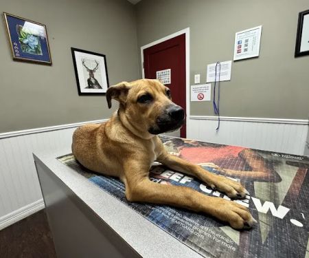 Montrose Veterinary Clinic