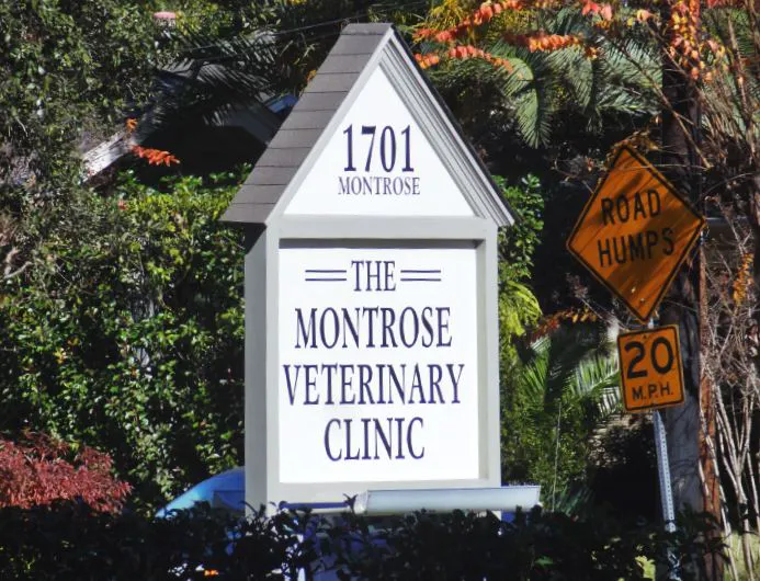 Montrose Veterinary Clinic Picture 5