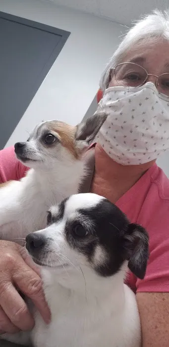 EaDo Veterinary Clinic Picture 8