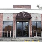 The Cat Doctor