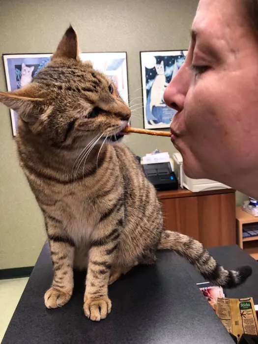The Cat Doctor Picture 10