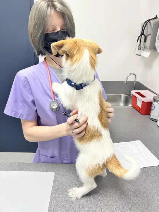 Neartown Animal Clinic Picture 6