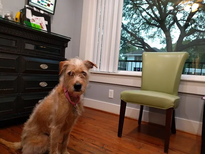 Midtown Veterinary Hospital Picture 9