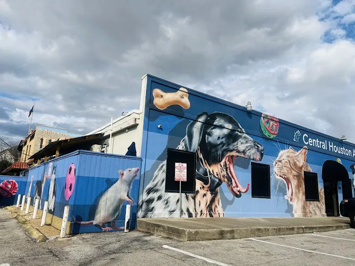 Central Houston Animal Hospital Picture 1