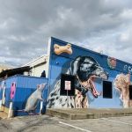 Central Houston Animal Hospital