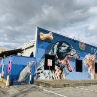 Central Houston Animal Hospital ico
