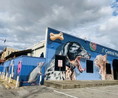 Central Houston Animal Hospital