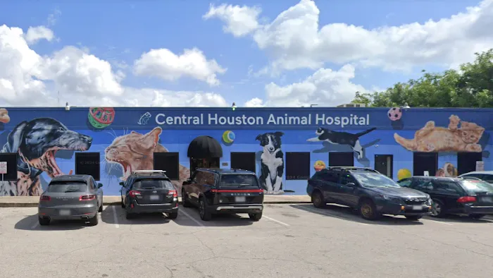 Central Houston Animal Hospital Picture 3