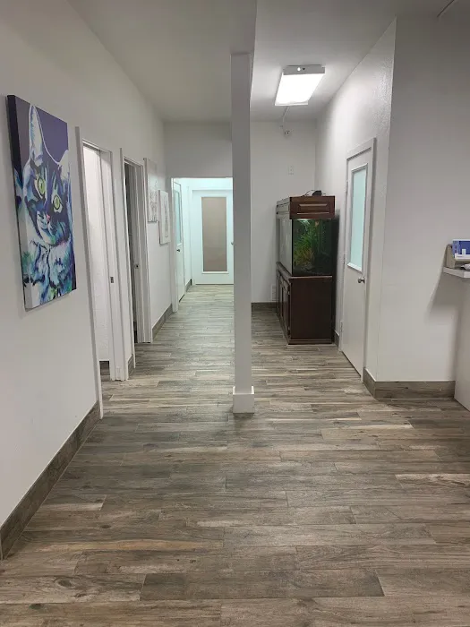 Central Houston Animal Hospital Picture 2