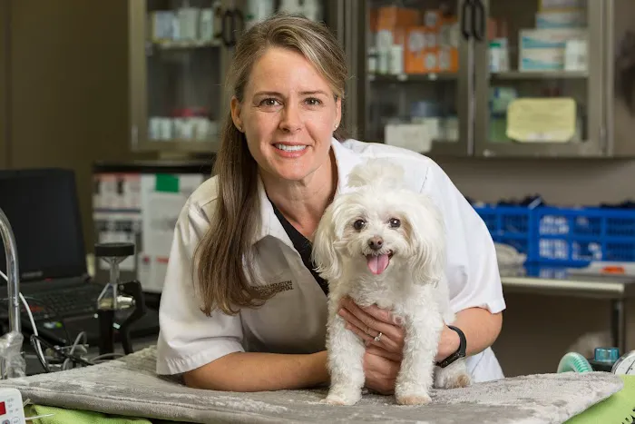Central Houston Animal Hospital Picture 4