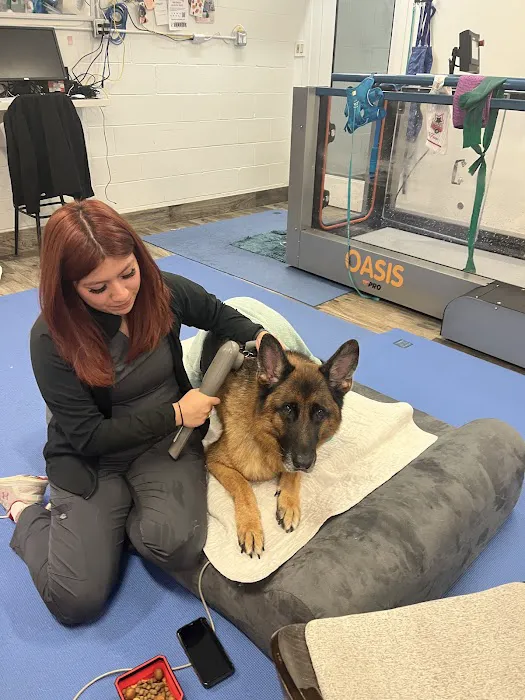Central Houston Animal Hospital Picture 6