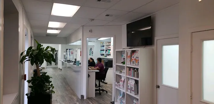 Central Houston Animal Hospital Picture 10