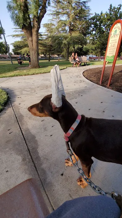 Elm Veterinary Hospital Picture 7