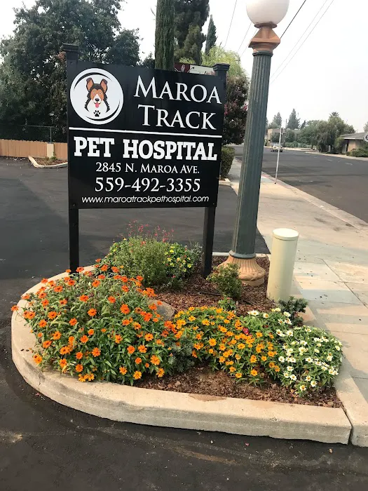 Maroa Track Pet Hospital Picture 1