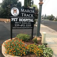 Maroa Track Pet Hospital ico