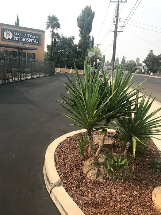 Maroa Track Pet Hospital Picture 7