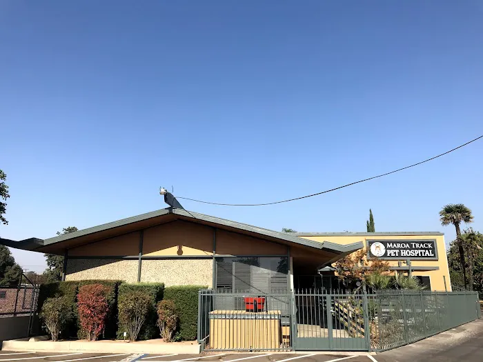 Dog and Cat Dental Care: Maroa Track Pet Hospital Picture 2