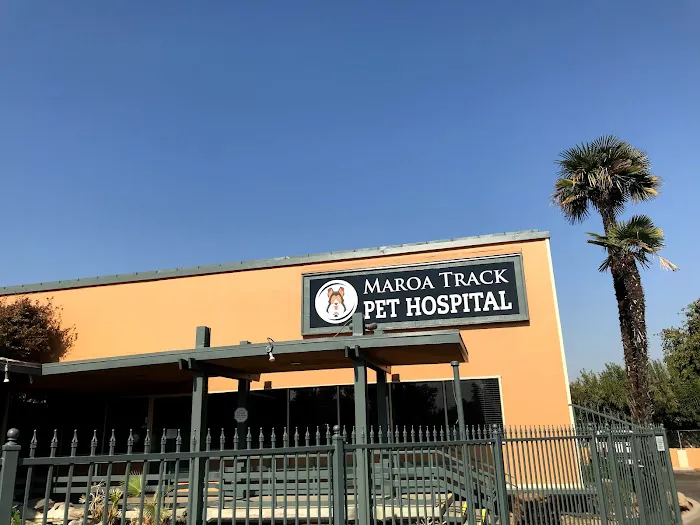 Dog and Cat Dental Care: Maroa Track Pet Hospital Picture 1