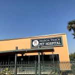 Dog and Cat Dental Care: Maroa Track Pet Hospital