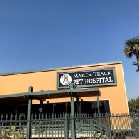 Dog and Cat Dental Care: Maroa Track Pet Hospital ico