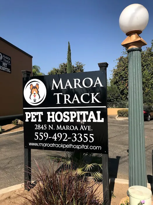 Dog and Cat Dental Care: Maroa Track Pet Hospital Picture 4