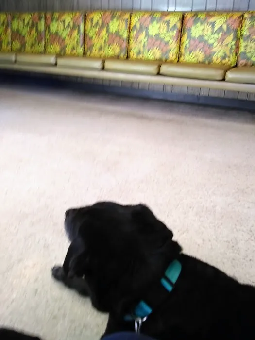 Olive Veterinary Hospital Picture 5