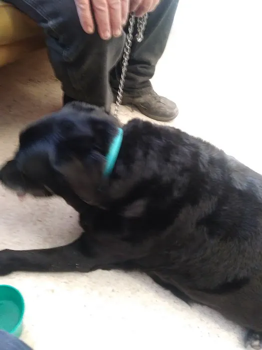 Olive Veterinary Hospital Picture 9