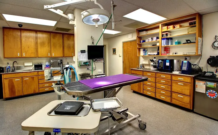 Shield Stone Pet Hospital Picture 1