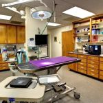 Shield Stone Pet Hospital