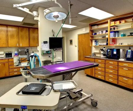 Shield Stone Pet Hospital